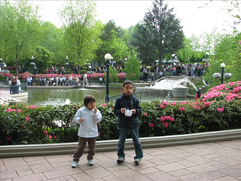 Photo N. 249