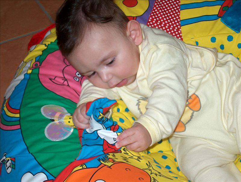 Photo N. 29