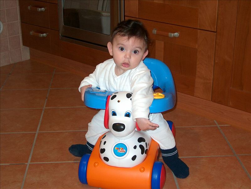 Photo N. 36